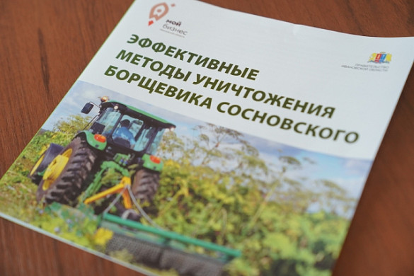 В Ивановской области ликвидируют 3,5 тысячи гектар борщевика
